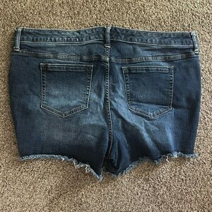 Torrid jean shorts *20*